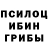 Галлюциногенные грибы Magic Shrooms XARDKOR 228