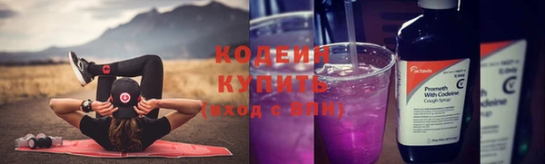 крисы Бронницы