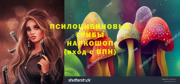 прущий лед Богородск