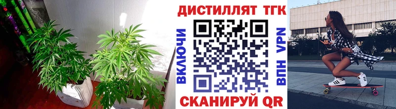 OMG ТОР Вельск ТГК концентрат