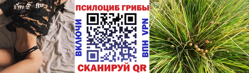 Псилоцибиновые грибы GOLDEN TEACHER  закладки  Вельск 